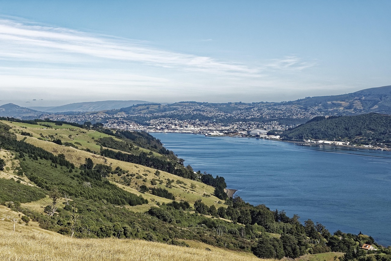 Die Stadt Dunedin aus der Ferne, mit dem Otago Harbour im Vordergrund